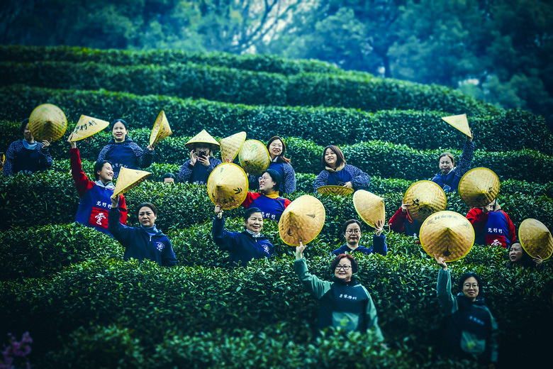 �����������ɿ���