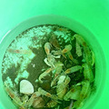 游山玩水精选