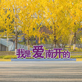 �Ͽ����������ҵ�ɼ�