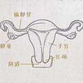 ���ƽṹ.jpg