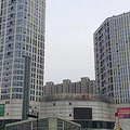δ-2.jpg