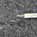 DSC_0201.jpg