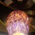 DSC07518.jpg