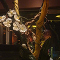 DSC07519.jpg