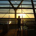 DSC05891.JPG