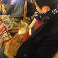 07.jpg