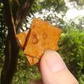 DSC07836.jpg