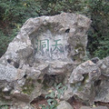 DSC07827.jpg