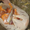 DSC07832.jpg