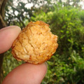 DSC07830.jpg