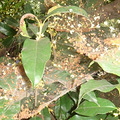 DSC07865.jpg