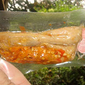 DSC07831.jpg