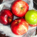 DSC08716.JPG