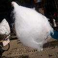 DSC08700.JPG