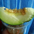 DSC08717.JPG