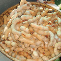 DSC08710.JPG