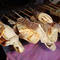 DSC08697.JPG