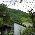P1030644.jpg