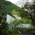 P1030643.jpg