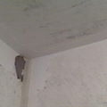 20110706038.jpg