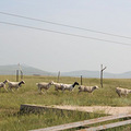 fengjing13.jpg