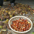 SANY0056.JPG