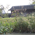 IMG_0281.JPG