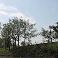 IMG_0282.JPG