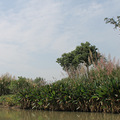 IMG_0285.JPG