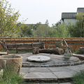 IMG_0547.JPG