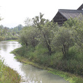 IMG_0560.JPG