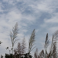 IMG_0431.JPG