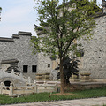 IMG_0264.JPG