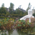 IMAG1649.jpg