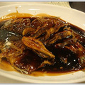 DSC04065.JPG