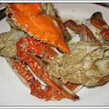 IMG_3242.JPG