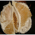 DSC09973.JPG