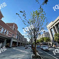 middle_780x585-102412_v3_17281666059852071_4ceb33df8fb48c6a76db122fbcf03d88.jpg