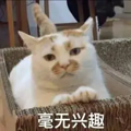 ΢��ͼƬ_20240912105359.png
