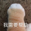 nk6ENMpqK12sMZEtsGjDJXb2N532w5kT.JPEG