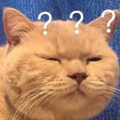΢��ͼƬ_20241008093834.png