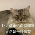 �ޱ���.jpg