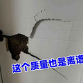 �ֲ�6.jpg