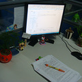 DSC06989.JPG