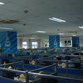DSC06990.JPG