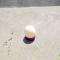 20100723871.jpg