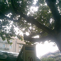 20100804(002).jpg