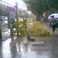 20100804.jpg