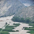 12435414_91n.jpg