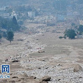 12435414_51n.jpg